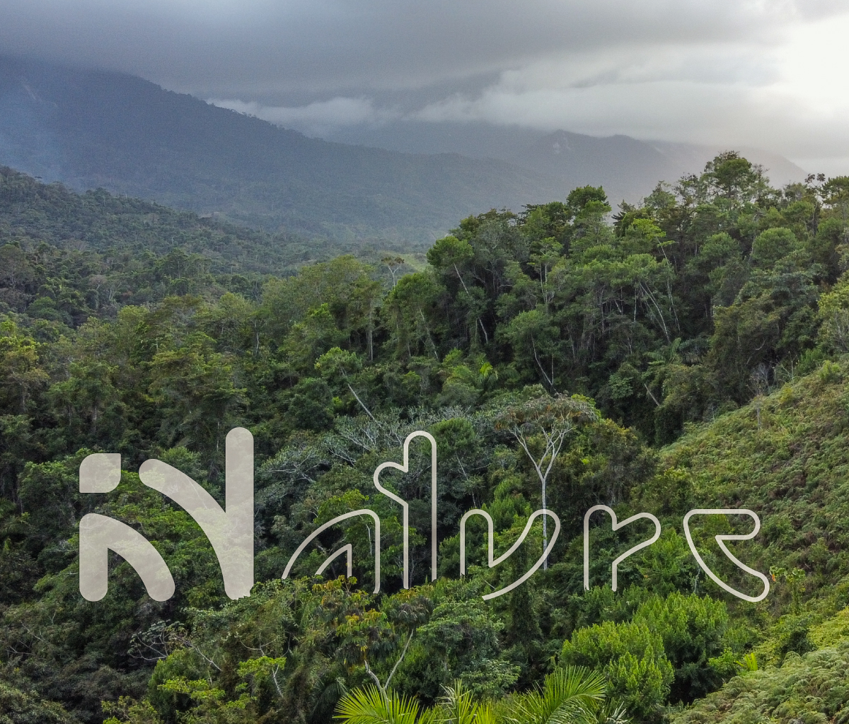 Innature Branding